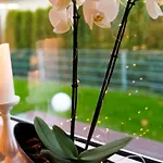 Gluecksmoment Holiday home