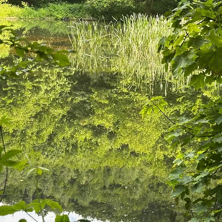 Gluecksmoment 別荘 ブランケンブルク