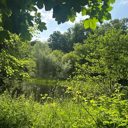 Glücksmoment Ferienhaus Blankenburg (Harz)