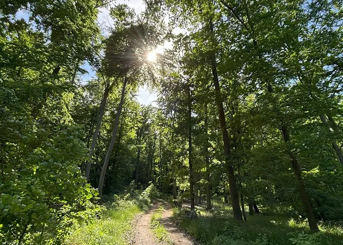 Gluecksmoment 別荘