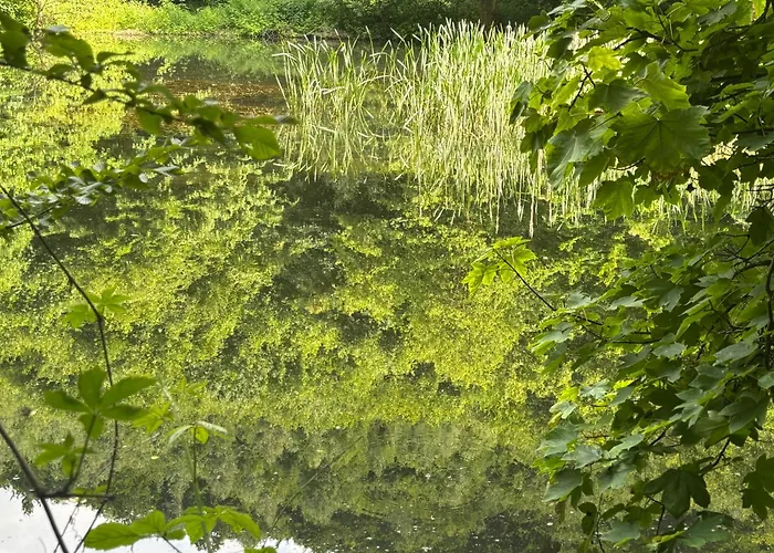Gluecksmoment Semesterbostad Blankenburg (Harz)