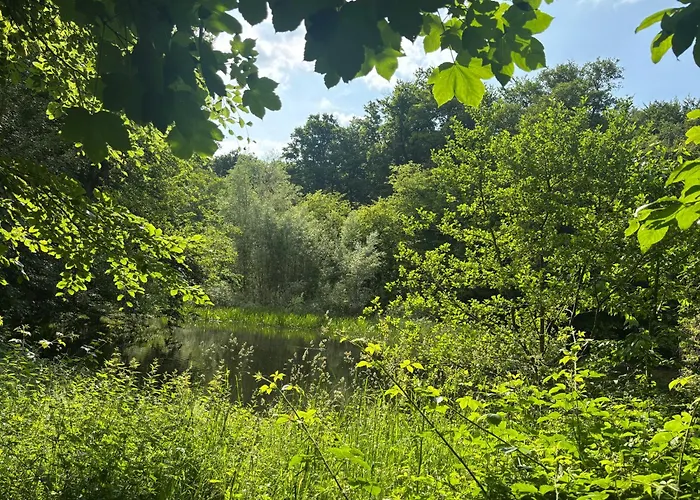 Gluecksmoment Semesterbostad Blankenburg (Harz)