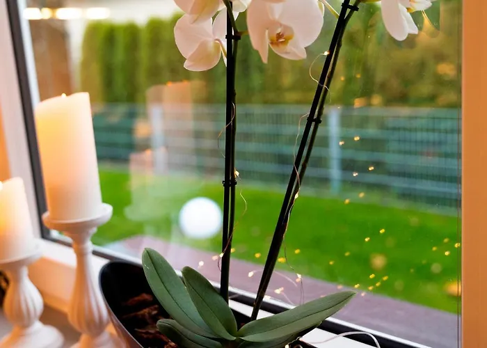 Gluecksmoment Semesterbostad